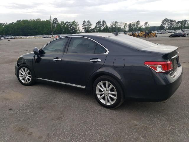 2010 Lexus ES 350