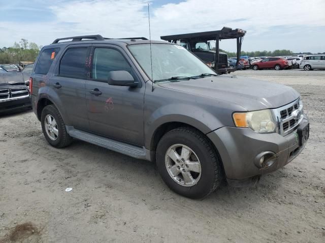 2009 Ford Escape XLT