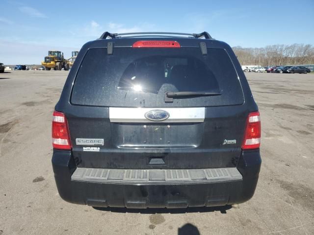 2010 Ford Escape Limited