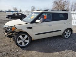 Salvage cars for sale from Copart London, ON: 2010 KIA Soul +