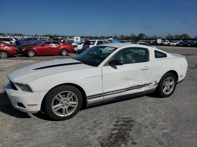 2010 Ford Mustang