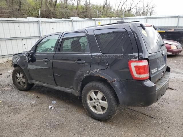 2011 Ford Escape XLT