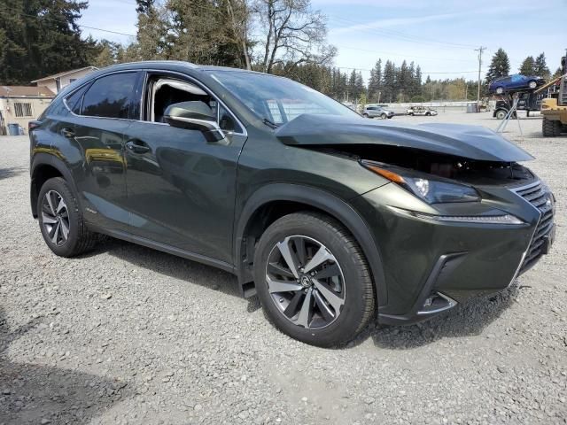 2021 Lexus NX 300H Base