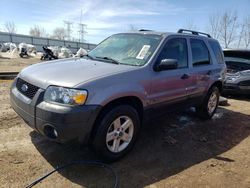 Salvage cars for sale at Elgin, IL auction: 2007 Ford Escape HEV
