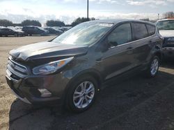 Salvage cars for sale at East Granby, CT auction: 2017 Ford Escape SE