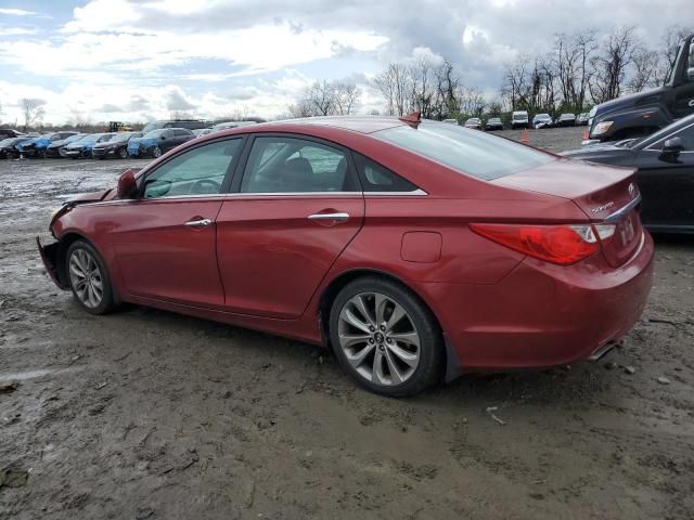 2013 Hyundai Sonata SE