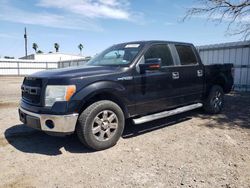 Ford salvage cars for sale: 2014 Ford F150 Supercrew