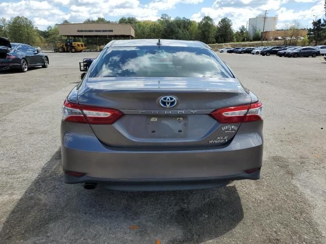 2019 Toyota Camry Hybrid