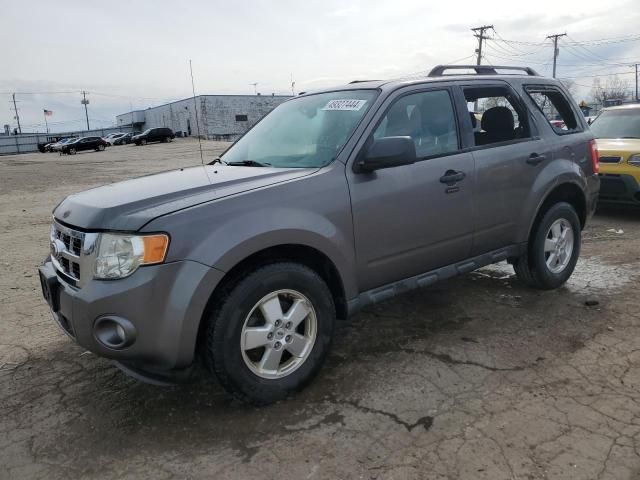 2010 Ford Escape XLT