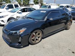 Salvage cars for sale from Copart Rancho Cucamonga, CA: 2015 Scion TC