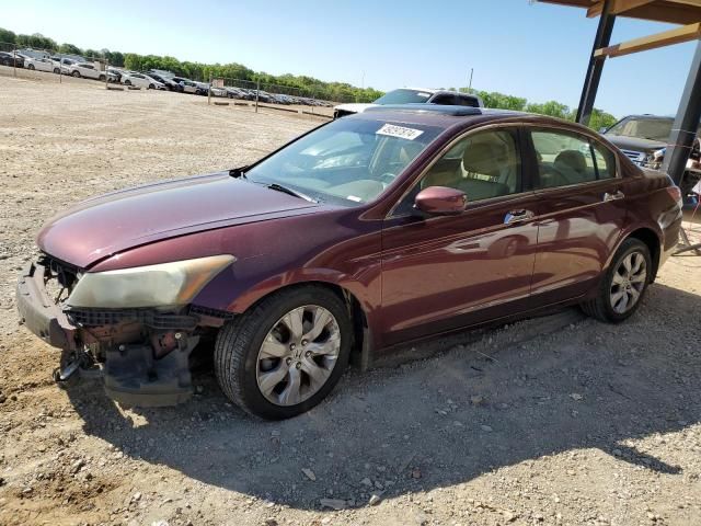 2008 Honda Accord EXL