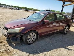 Salvage cars for sale at Tanner, AL auction: 2008 Honda Accord EXL