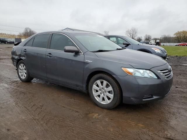 2009 Toyota Camry Hybrid