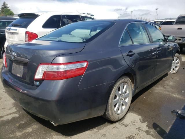 2009 Toyota Camry Hybrid