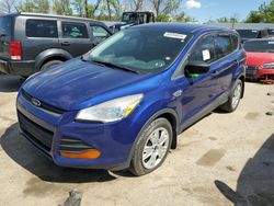 Salvage cars for sale at Bridgeton, MO auction: 2014 Ford Escape S