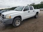 2007 Dodge Dakota Quattro