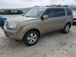 Honda Vehiculos salvage en venta: 2009 Honda Pilot EXL