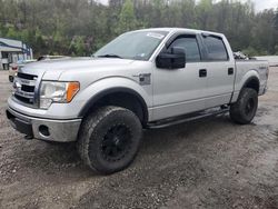 Salvage cars for sale from Copart Hurricane, WV: 2013 Ford F150 Supercrew