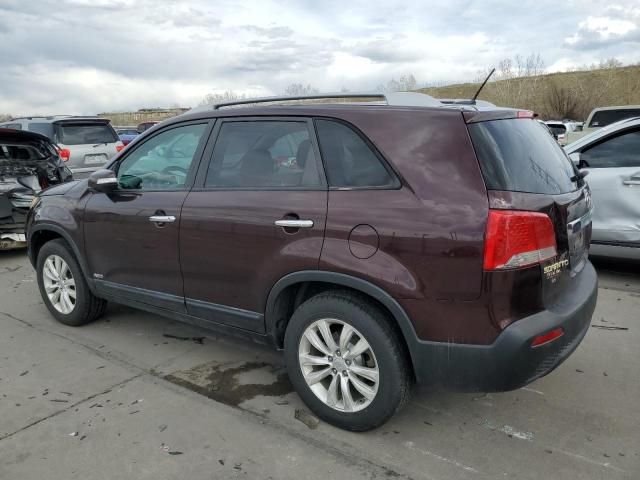 2011 KIA Sorento Base