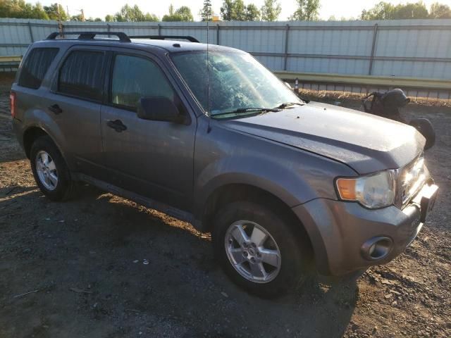 2012 Ford Escape XLT