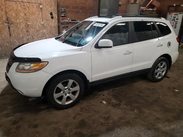 2009 Hyundai Santa FE SE