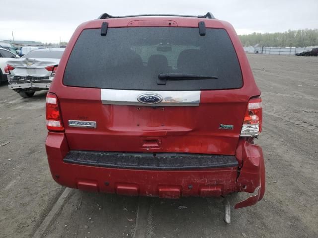 2010 Ford Escape Limited