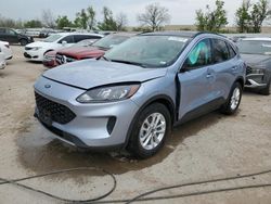 Salvage cars for sale from Copart Bridgeton, MO: 2022 Ford Escape SE