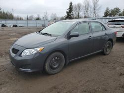 Salvage cars for sale from Copart Ontario Auction, ON: 2009 Toyota Corolla Base