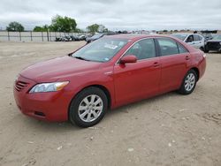 Toyota Camry salvage cars for sale: 2007 Toyota Camry Hybrid