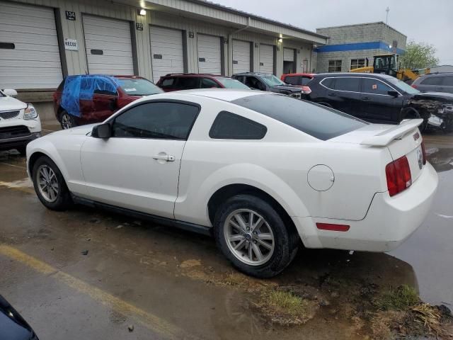 2005 Ford Mustang