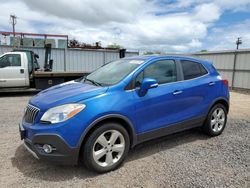 Salvage cars for sale at Kapolei, HI auction: 2016 Buick Encore Convenience