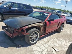 Salvage cars for sale at Indianapolis, IN auction: 2008 Ford Mustang GT