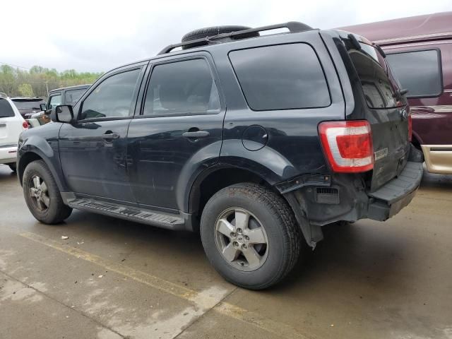 2010 Ford Escape XLT