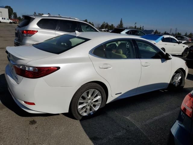 2013 Lexus ES 300H