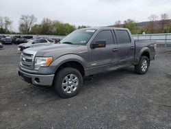 Salvage cars for sale at Grantville, PA auction: 2013 Ford F150 Supercrew
