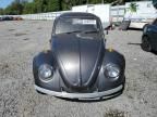 1967 Volkswagen Beetle