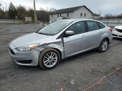 Salvage cars for sale from Copart York Haven, PA: 2015 Ford Focus SE