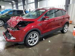 Salvage cars for sale at Ham Lake, MN auction: 2014 Ford Escape Titanium