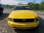 2006 Ford Mustang