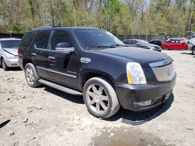 2010 Cadillac Escalade Luxury