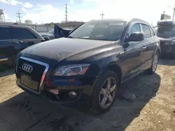 Salvage cars for sale at Chicago Heights, IL auction: 2010 Audi Q5 Premium Plus