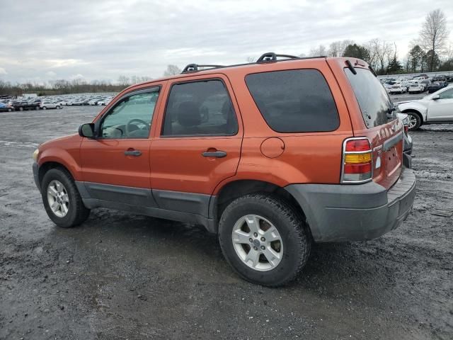 2006 Ford Escape XLT