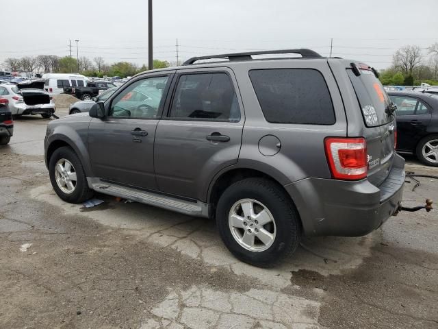 2010 Ford Escape XLT