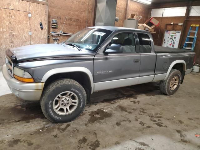 2002 Dodge Dakota SLT