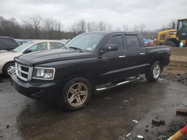 2010 Dodge Dakota SXT