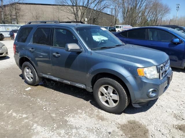 2010 Ford Escape XLT