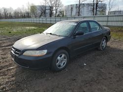 Salvage cars for sale at Central Square, NY auction: 1999 Honda Accord EX