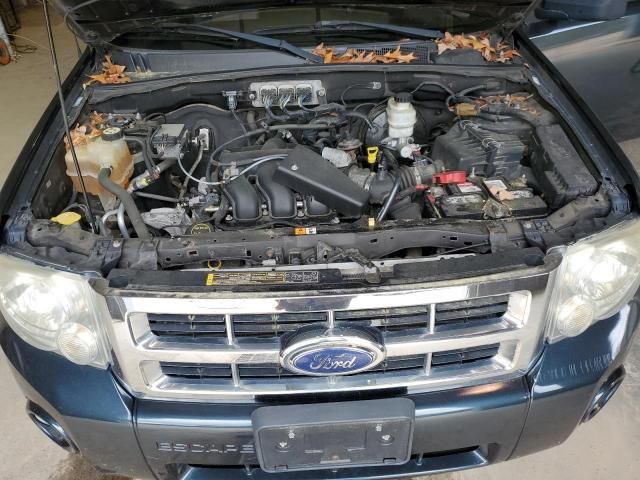 2008 Ford Escape XLT