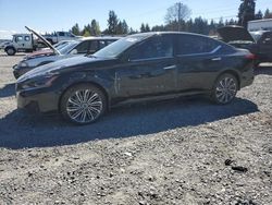 Salvage cars for sale at Graham, WA auction: 2024 Nissan Altima SL