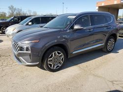 Salvage cars for sale at Fort Wayne, IN auction: 2022 Hyundai Santa FE Limited